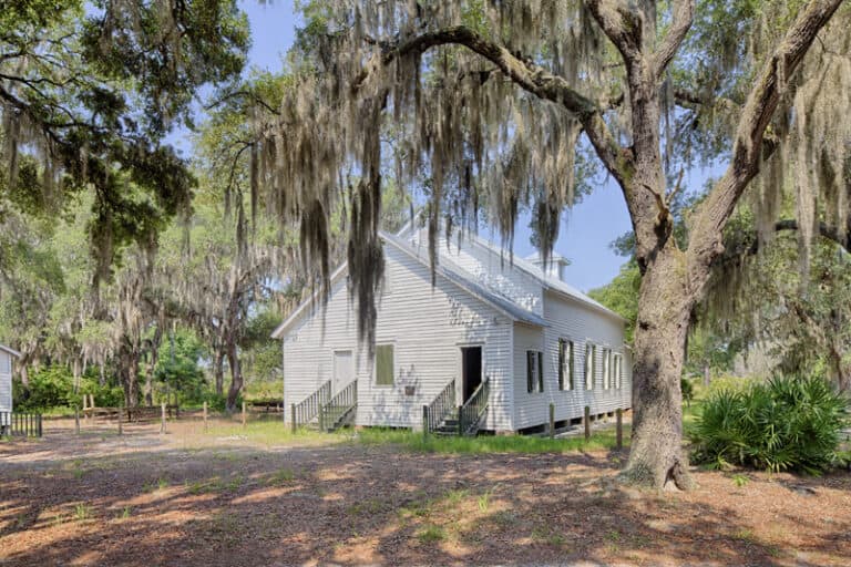 Sapelo Island: Georgia’s Most Fascinating Barrier Island - Molly's Old ...