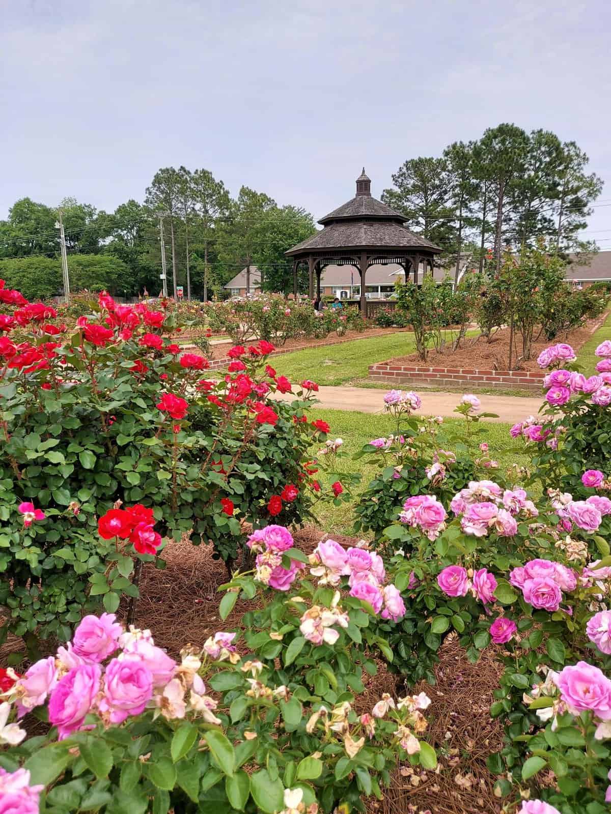 Day Guide to Thomasville, Rose City