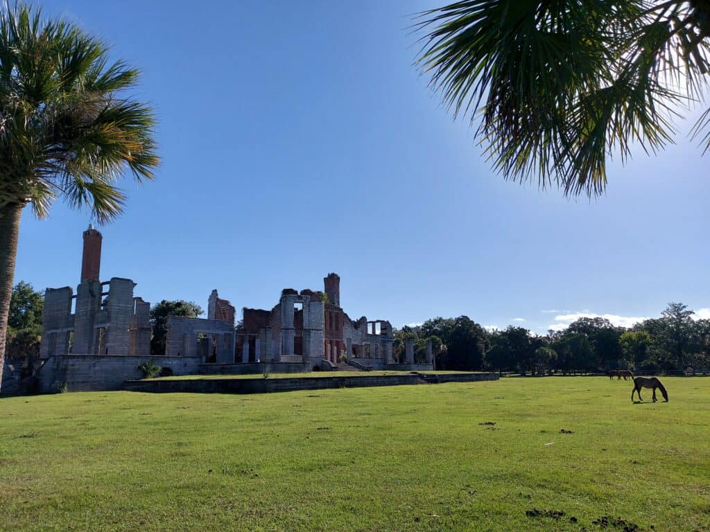 Carnegies' Dungeness mansion with wild horses on Cumberland Island