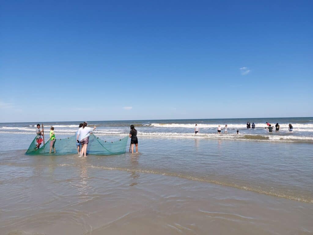 Molly's Old South Tours guests seining for fish on Cumberland Island's beach