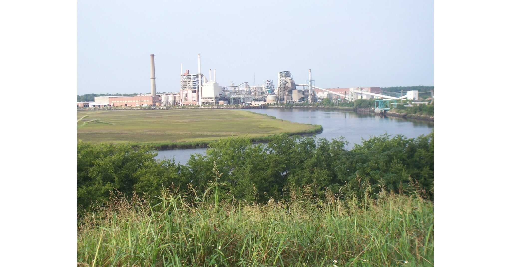 Groundbreaking Inspires a Look Back The Gilman Paper Company Molly's