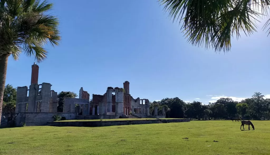 Horses at Cumberland Island’s Dungeness Ruins
