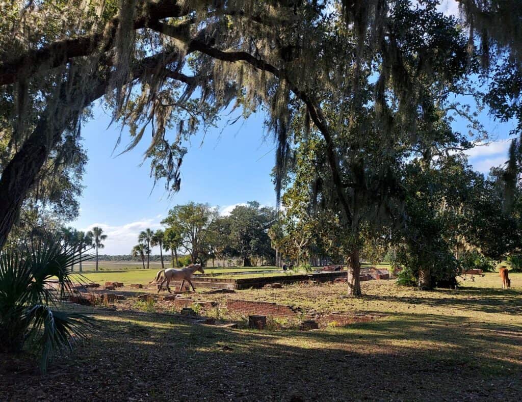 Horses at Dungeness's Recreation House Ruins on Cumberland Island