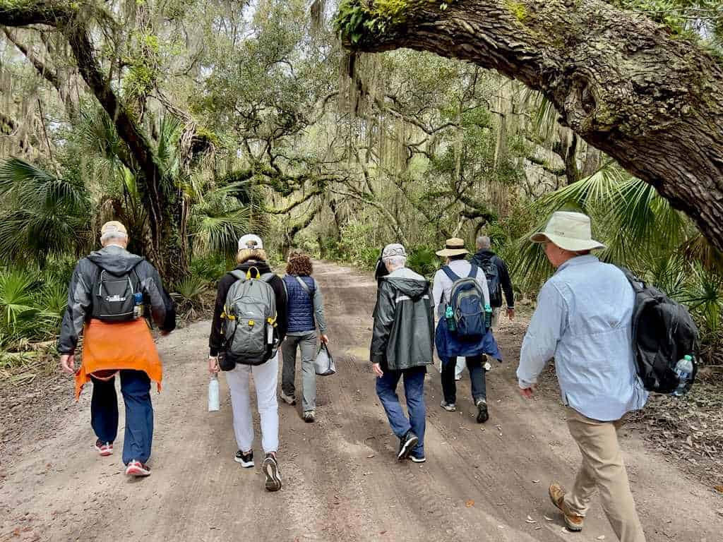 Molly's Old South Tours' private tour group strolling through Cumberland's maritime forest