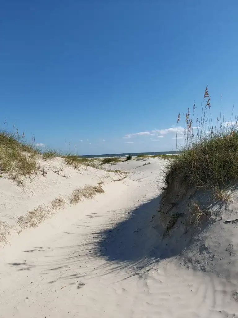 Beach at Cumberland Island