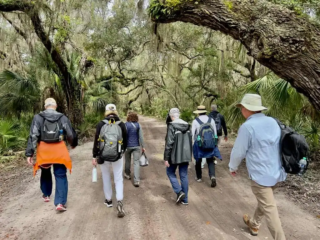 Hiking on Grand Avenue on Cumberland Island with Molly's Old South Tours